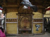 Templos y palomas