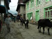 Nati, yaks y baquitas por las calles de Lukla